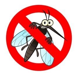 شركة مكافحة حشرات بتبوك