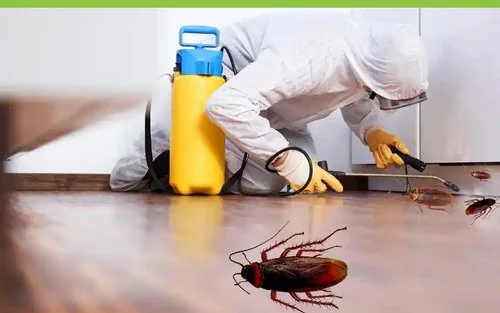 ابادة و مكافحة الصراصير في العبور