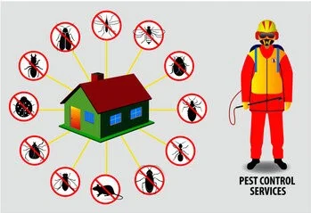 شركة ابادة حشرات في قنا