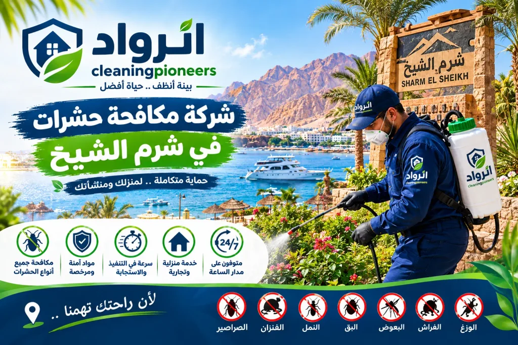 شركة مكافحة حشرات في شرم الشيخ
