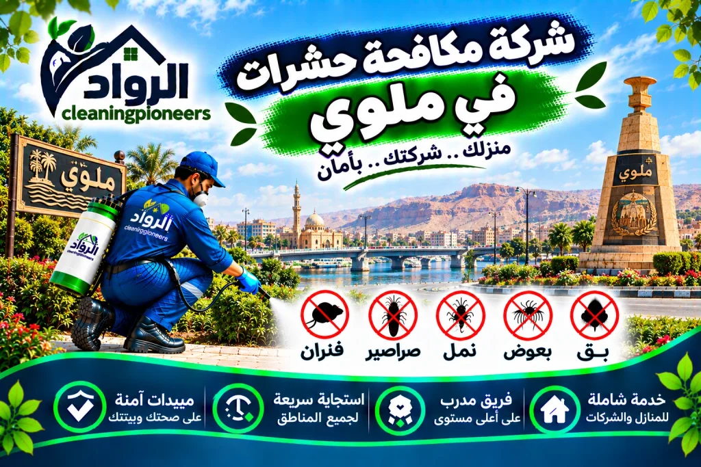 شركة مكافحة حشرات في ملوي