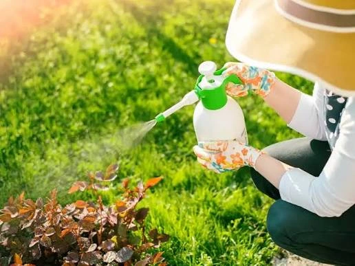 طرق مكافحة الحشرات في الحدائق المنزلية
