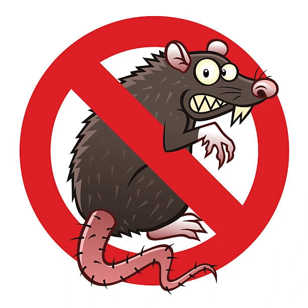 مكافحة و ابادة الفئران في الرحاب