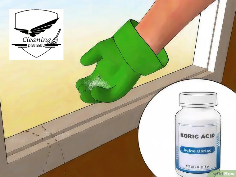  استخدام المبيدات الكيميائية | افضل طريقة للتخلص من النمل الأبيض