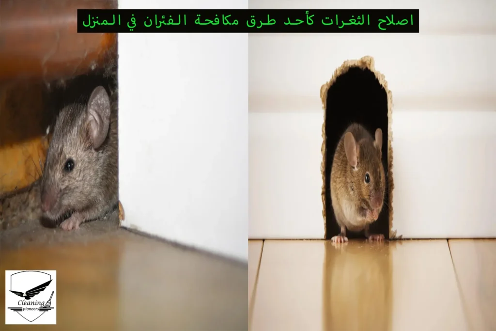 اصلاح الثغرات كأحد طرق مكافحة الفئران في المنزل