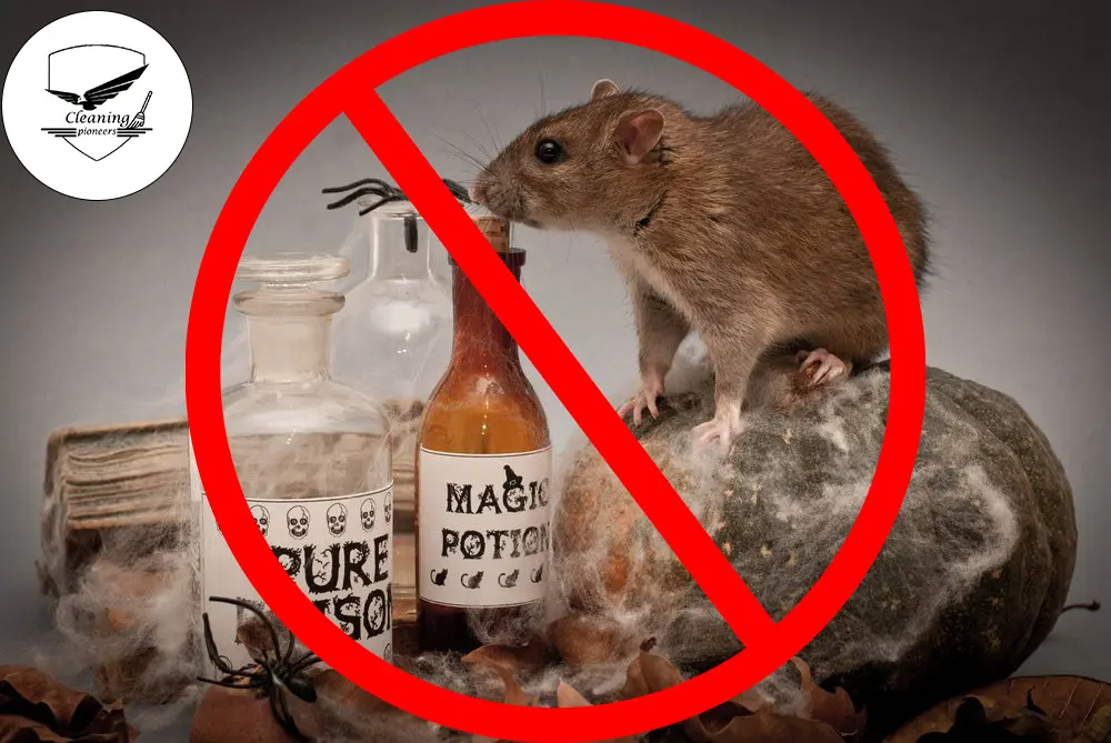 تجنب السموم الضارة عند اصطياد الفئران