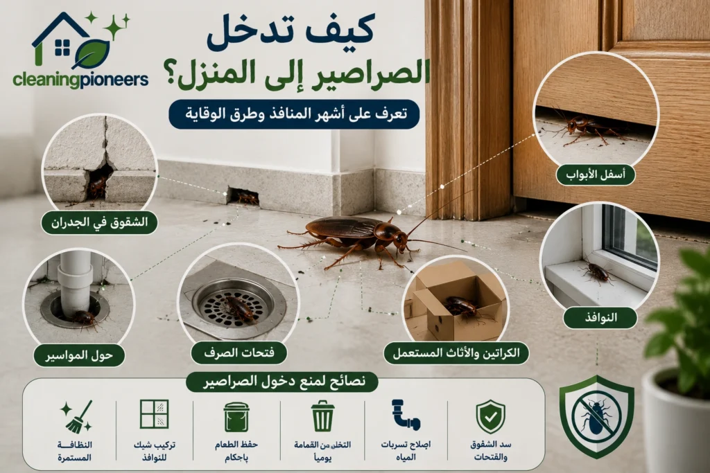 كيف تدخل الصراصير الى المنزل