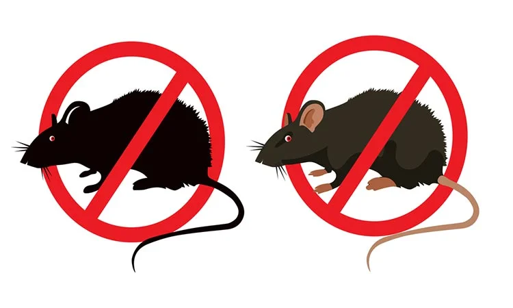 anti-pests
