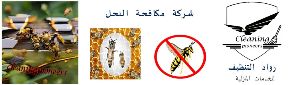 شركة مكافحة نحل بالرياض