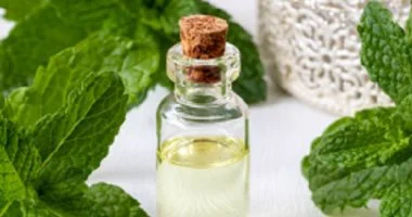 افضل طرق طبيعية لطرد الحشرات في المنزل